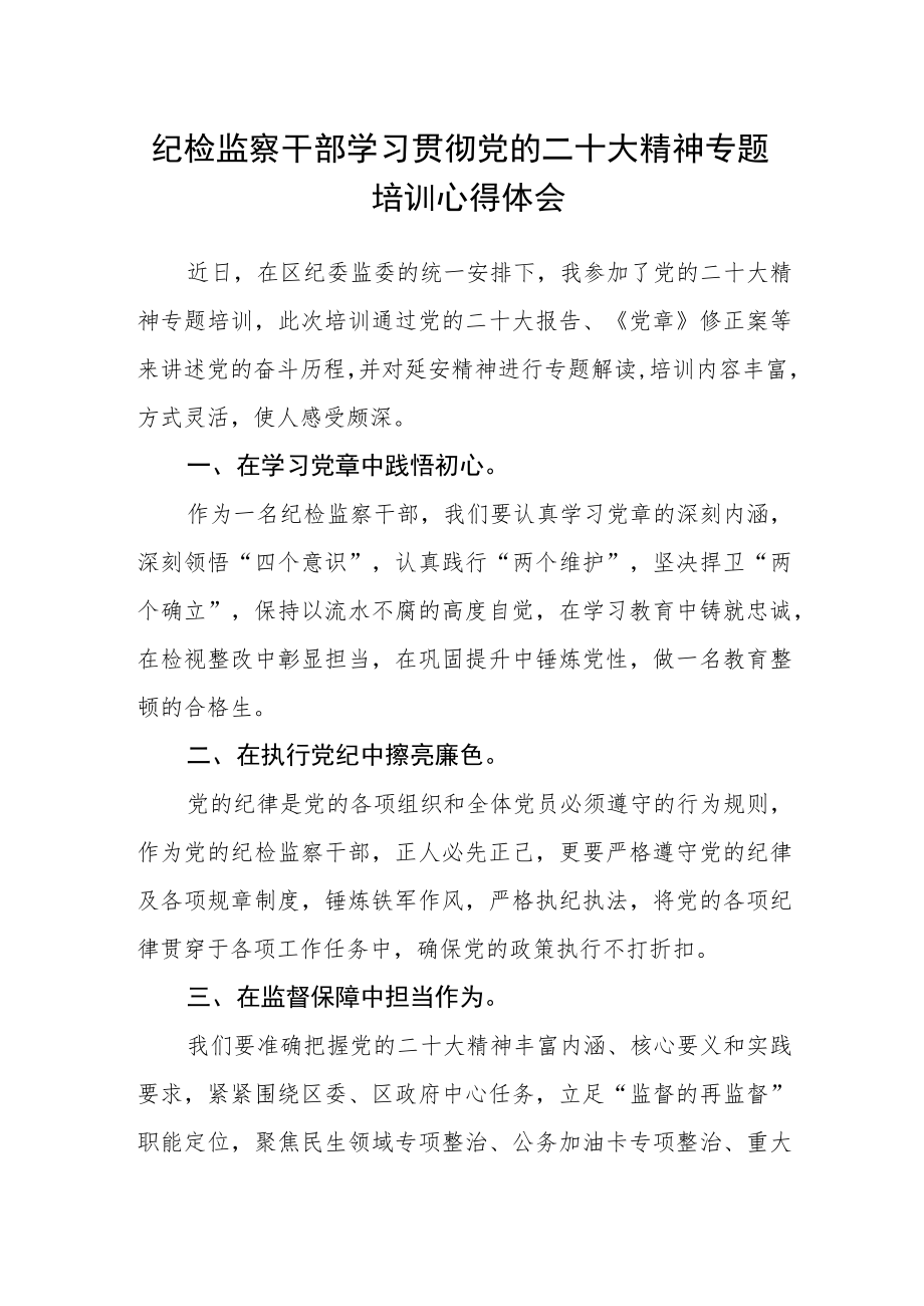 纪检监察干部学习贯彻党的二十大精神专题培训心得体会.docx_第1页