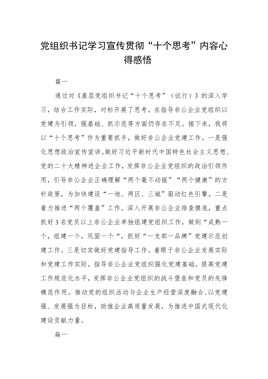 党组织书记学习宣传贯彻“十个思考”内容心得感悟四篇.docx_第1页