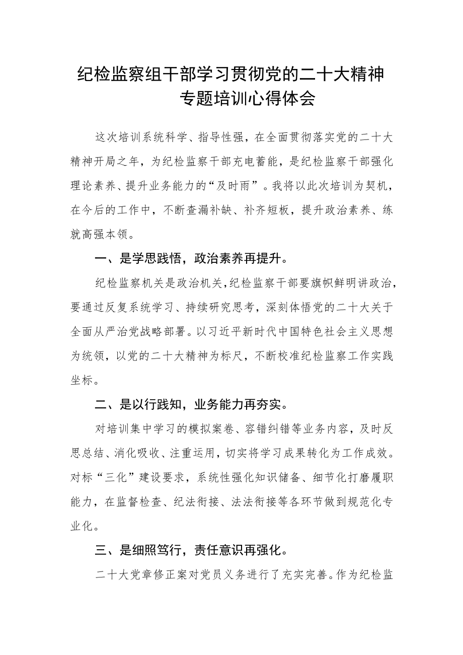 纪检监察组干部学习贯彻党的二十大精神专题培训心得体会.docx_第1页