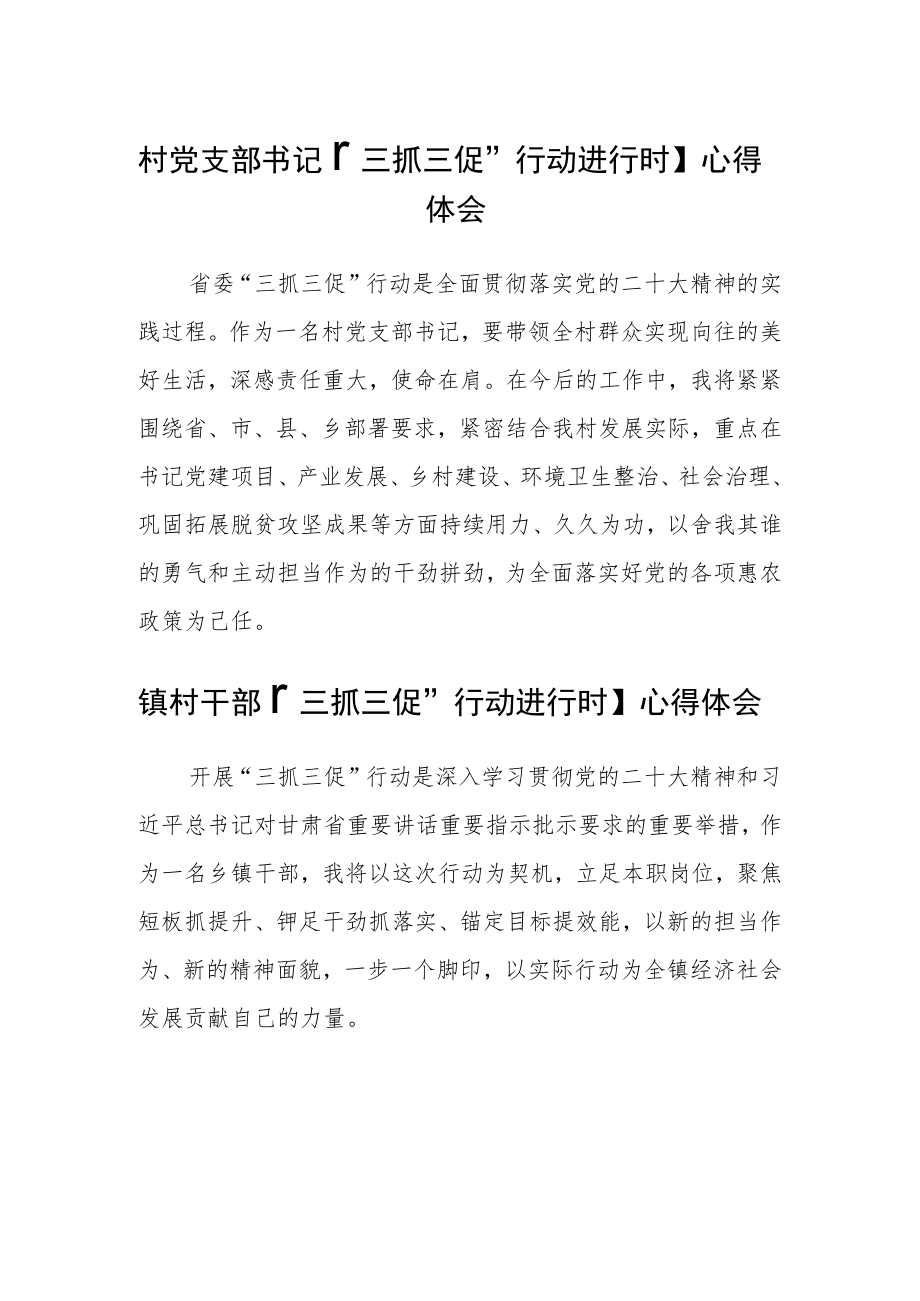 村党支部书记【“三抓三促”行动进行时】心得体会范文三篇.docx_第1页