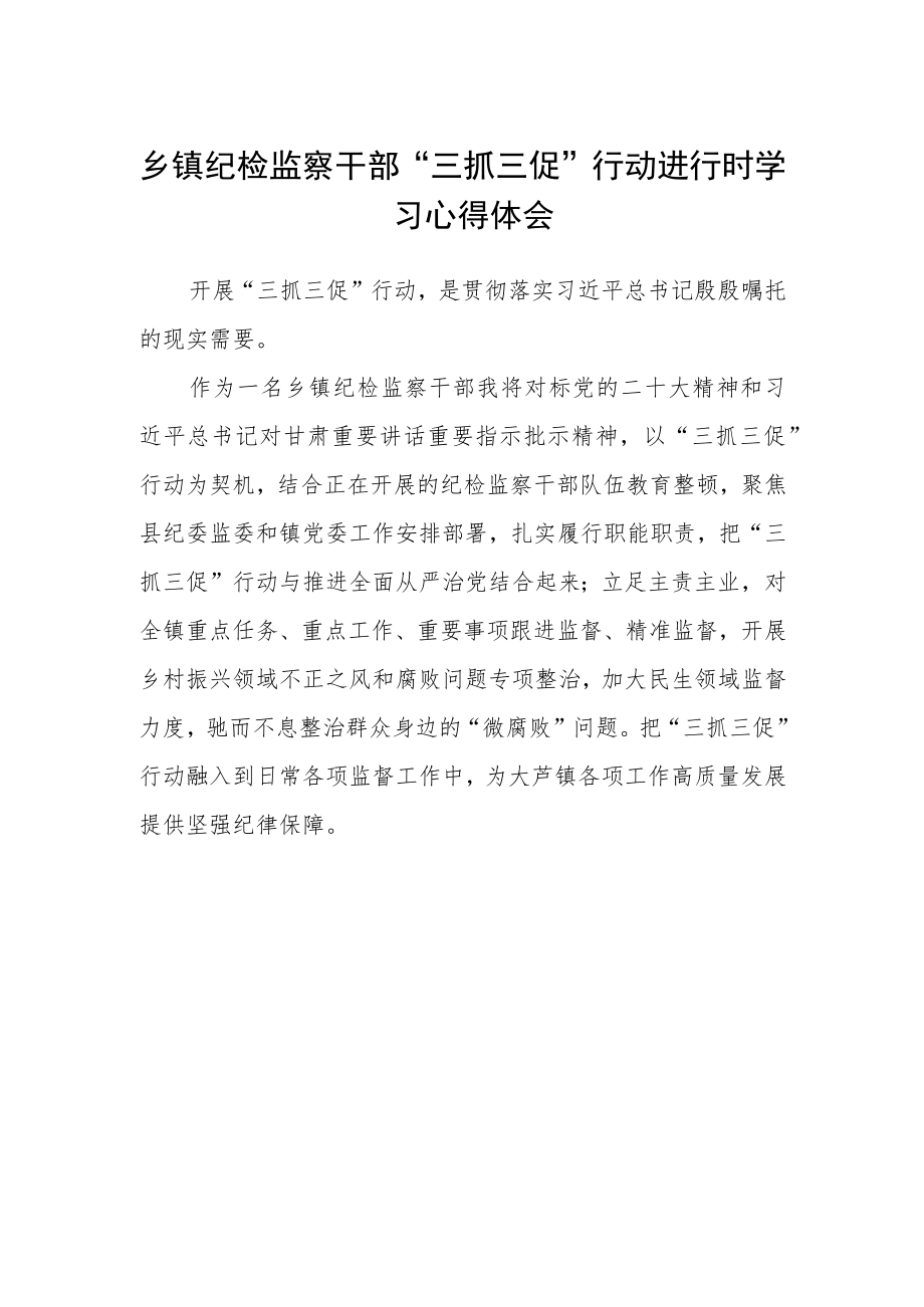 乡镇纪检监察干部“三抓三促”行动进行时学习心得体会.docx_第1页