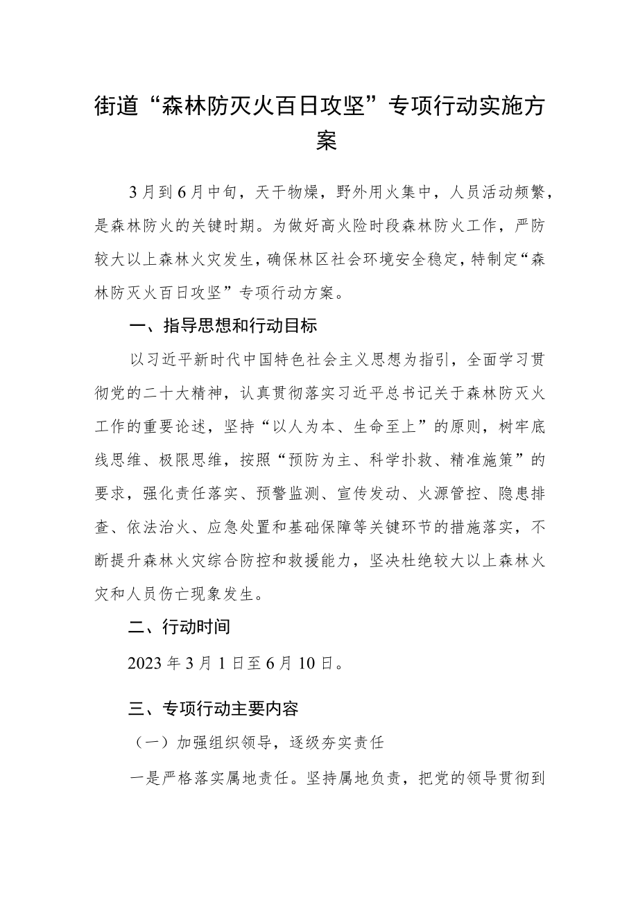 街道“森林防灭火百日攻坚”专项行动实施方案.docx_第1页