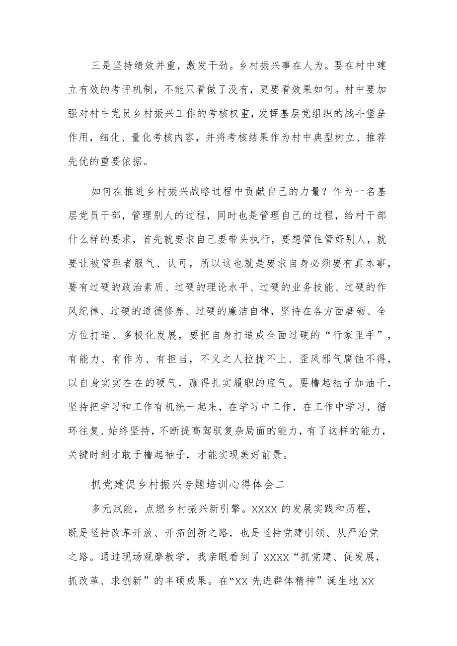 抓党建促乡村振兴专题培训心得体会集合篇范文.docx_第3页