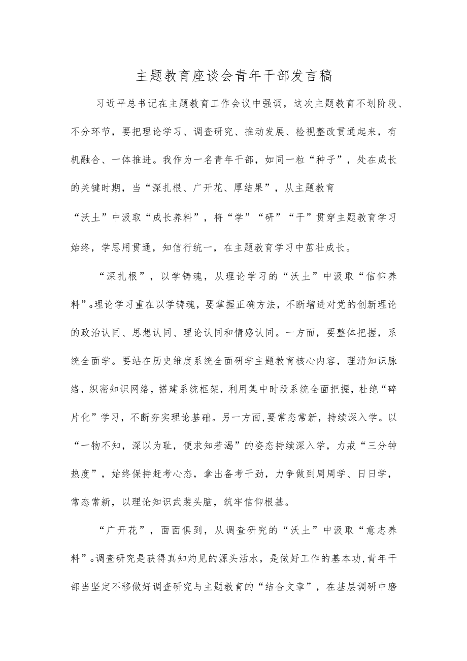 主题教育座谈会青年干部发言稿.docx_第1页