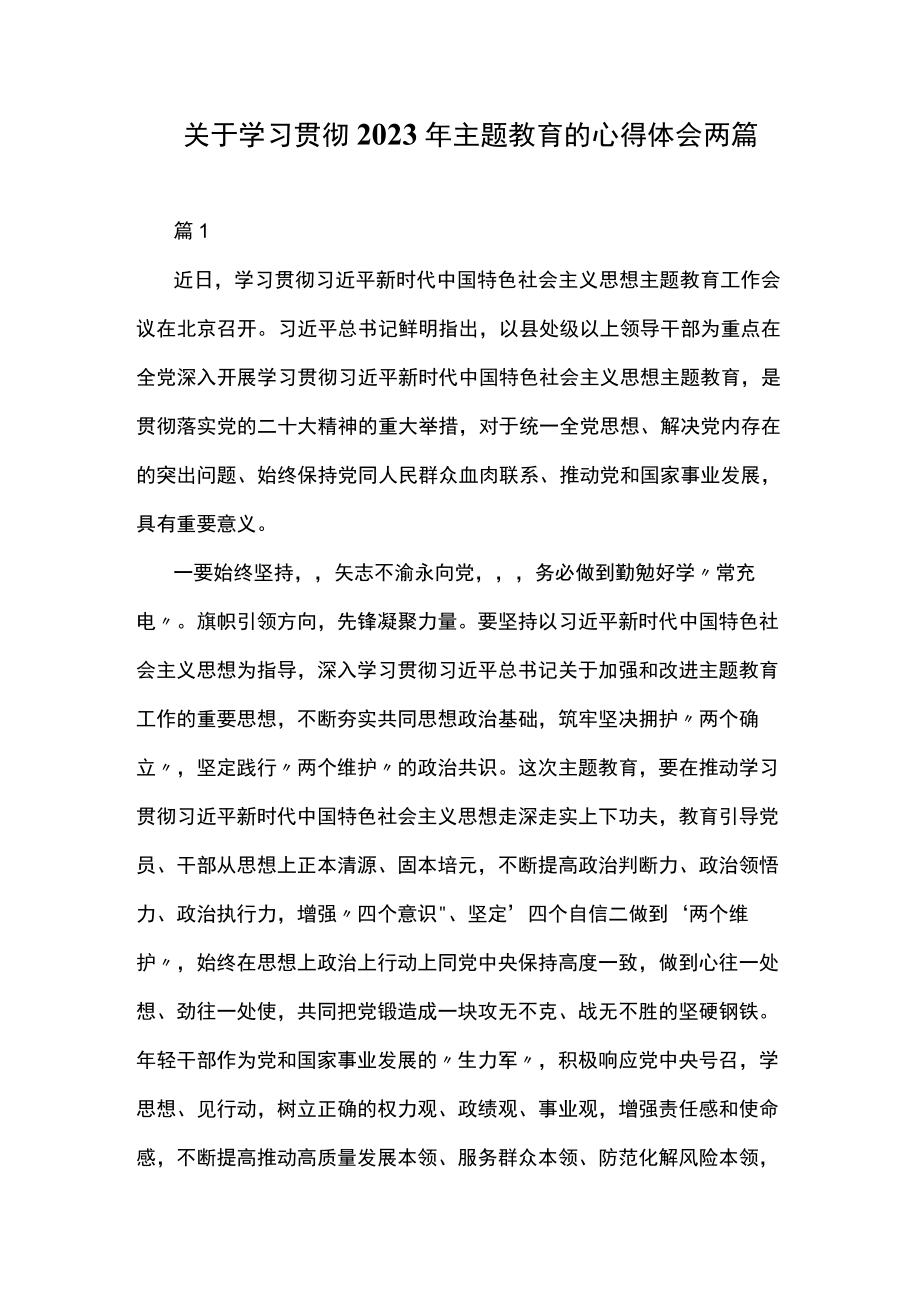 关于学习贯彻2023年主题教育的心得体会两篇.docx_第1页