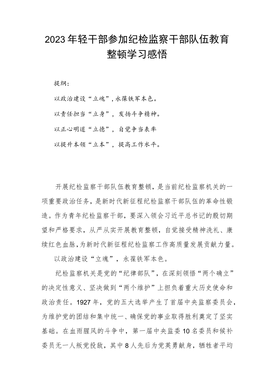 2023年轻干部参加纪检监察干部队伍教育整顿学习感悟.docx_第1页