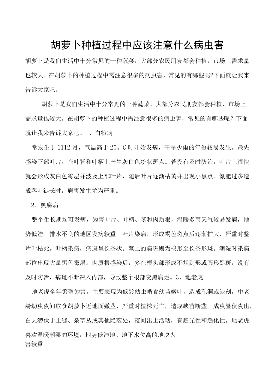 胡萝卜种植过程中应该注意什么病虫害.docx_第1页