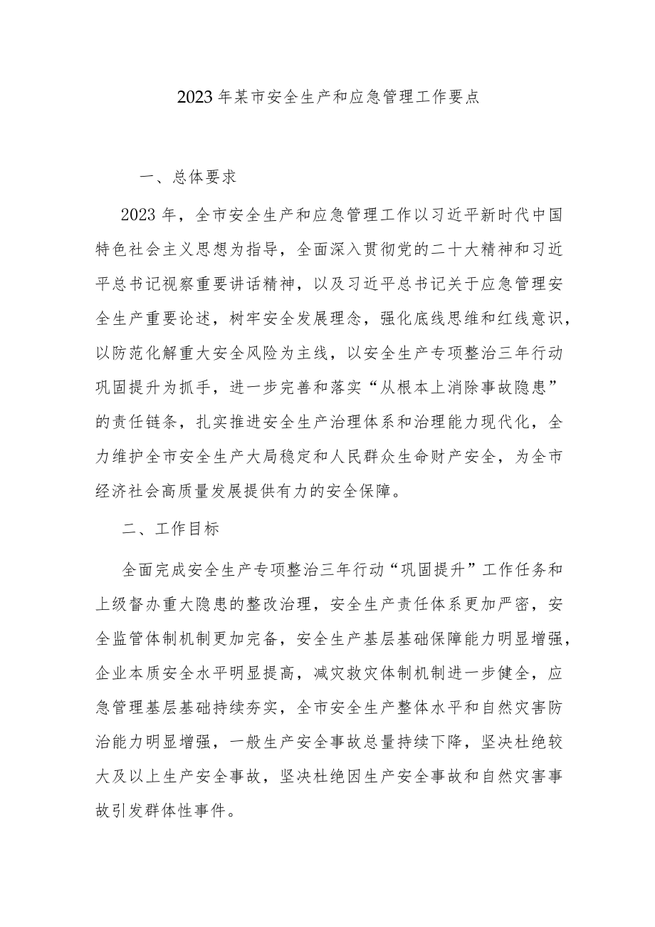 2023年某市安全生产和应急管理工作要点.docx_第1页