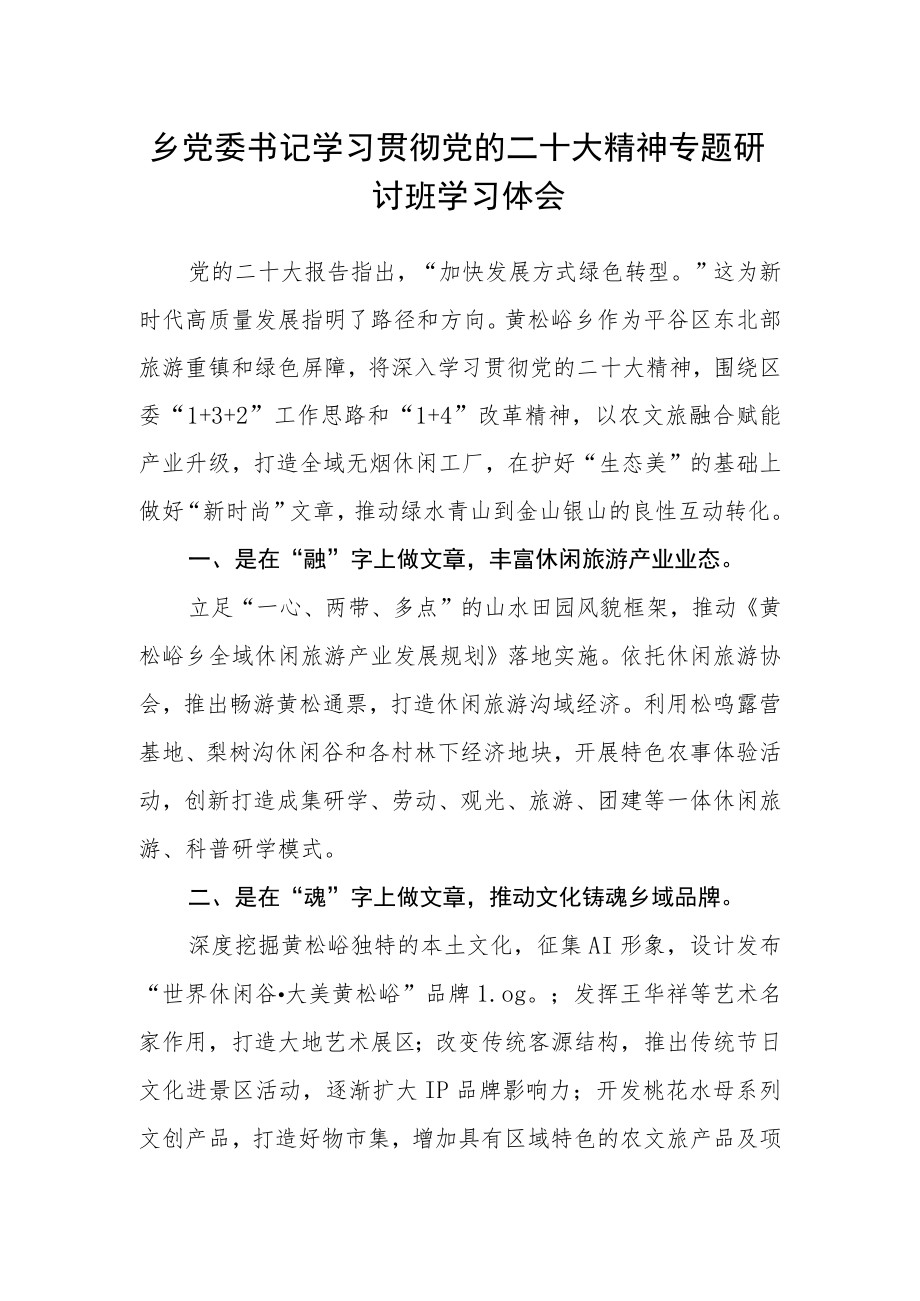 乡党委书记学习贯彻党的二十大精神专题研讨班学习体会.docx_第1页