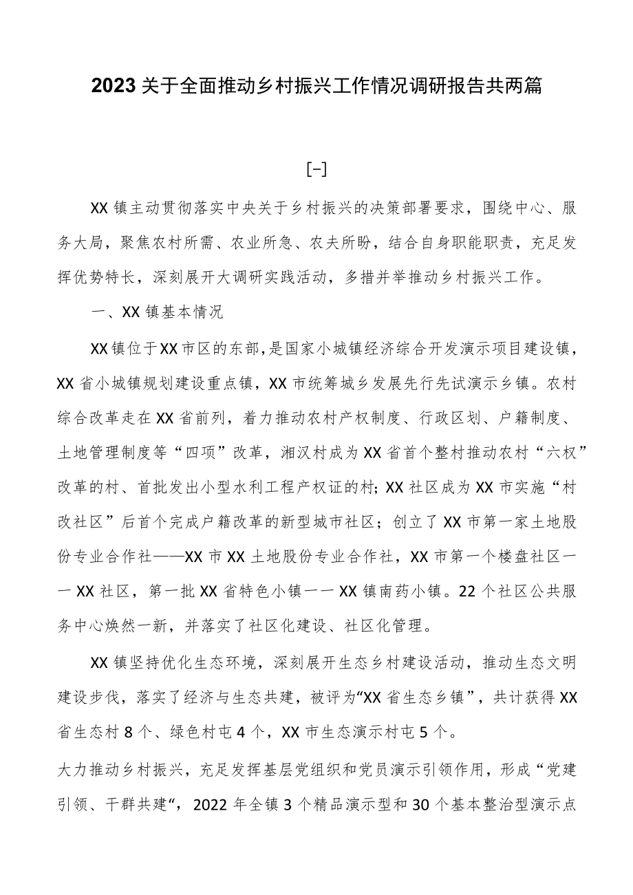 2023关于全面推进乡村振兴工作情况调研报告共两篇.docx_第1页