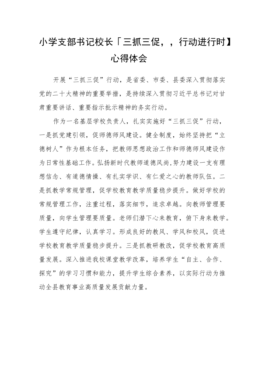 （共三篇）小学支部书记校长【“三抓三促”行动进行时】心得体会.docx_第1页