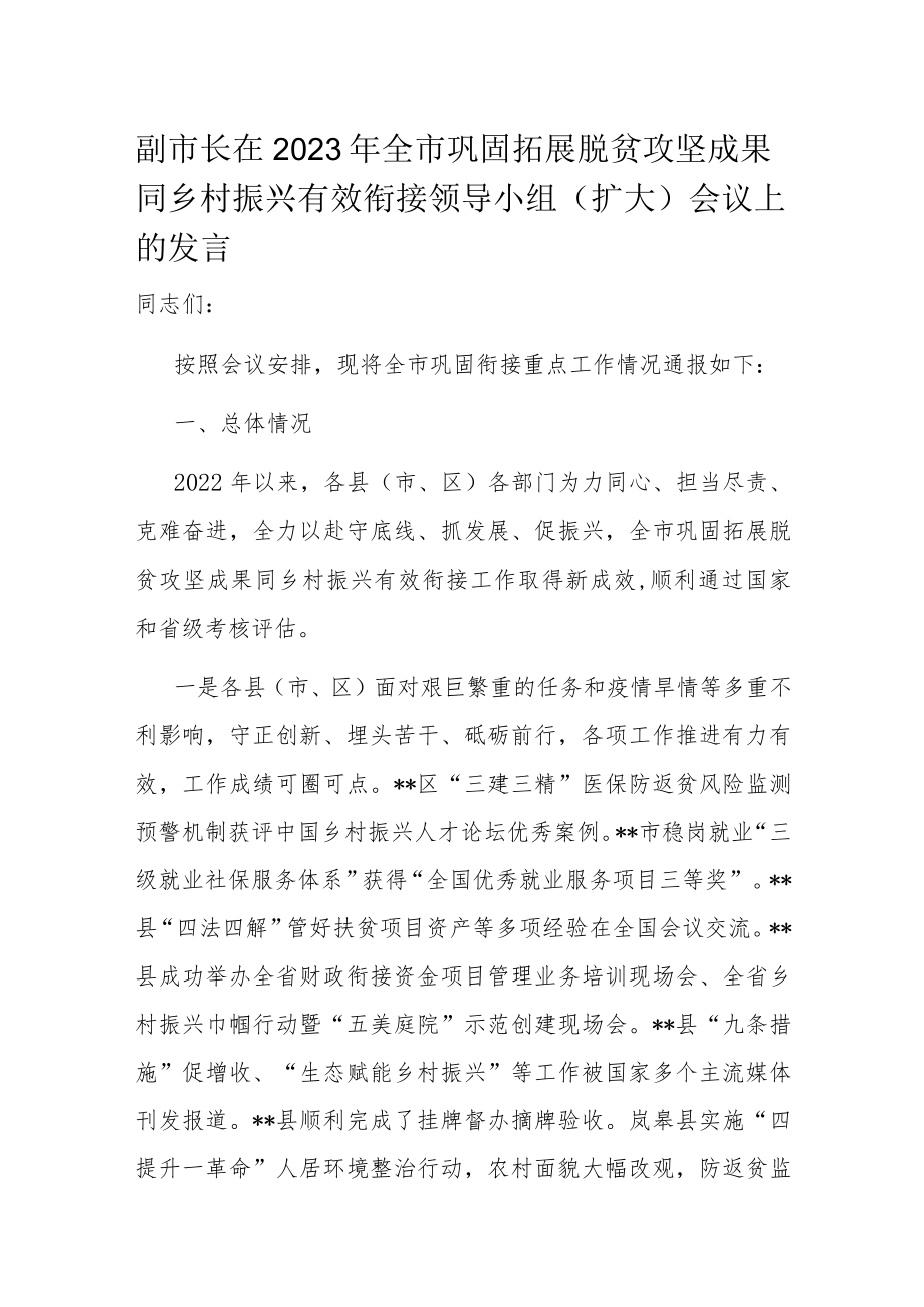 副市长在2023年全市巩固拓展脱贫攻坚成果同乡村振兴有效衔接领导小组会议上的发言.docx_第1页