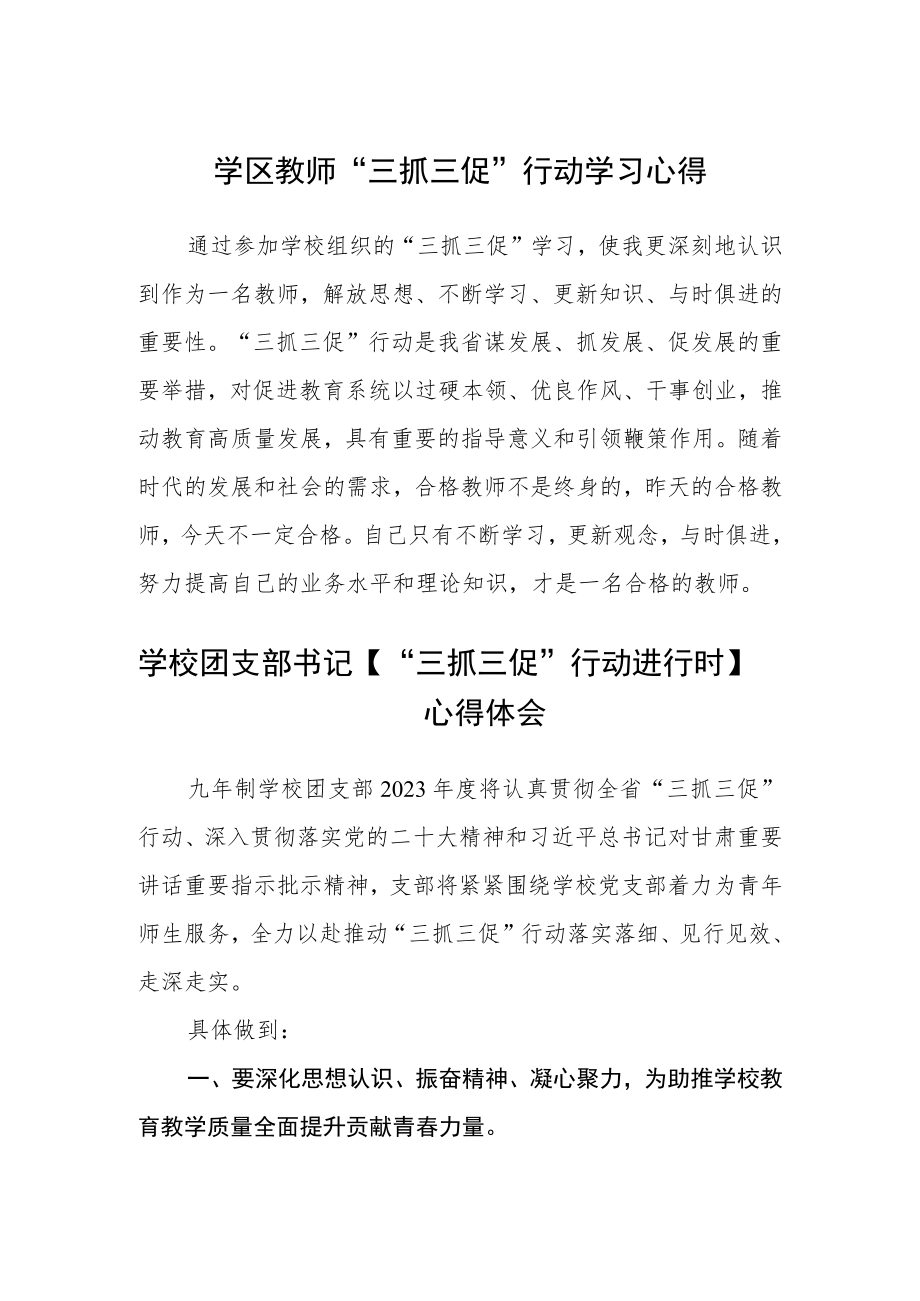 （共三篇）学区教师“三抓三促”行动学习心得.docx_第1页