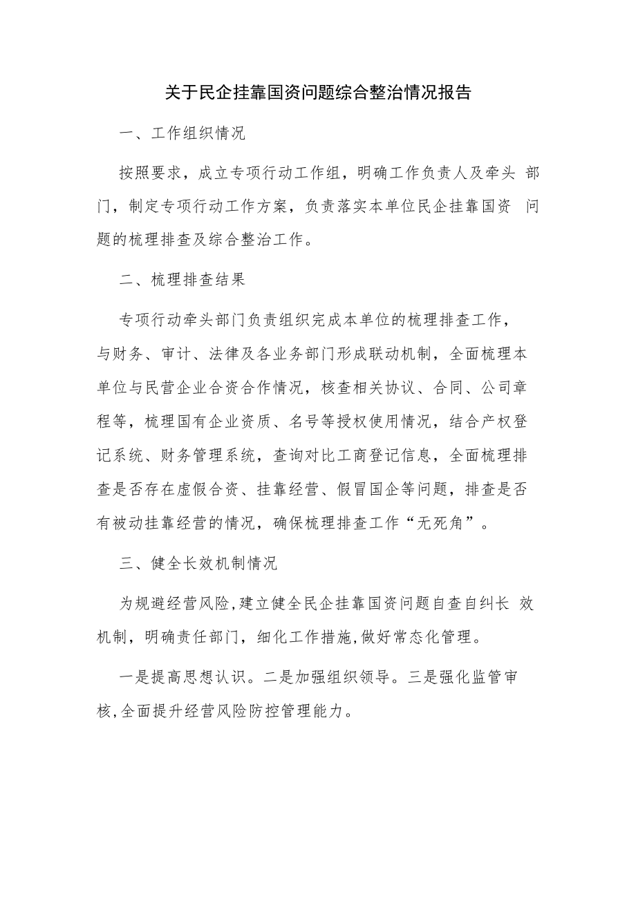 关于民企挂靠国资问题综合整治情况报告.docx_第1页