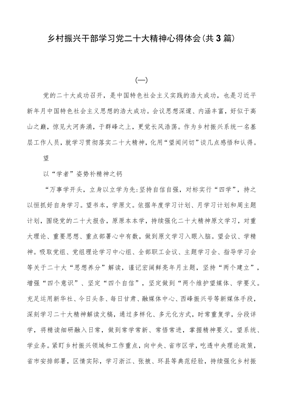 乡村振兴干部学习党二十大精神心得体会（共3篇）.docx_第1页