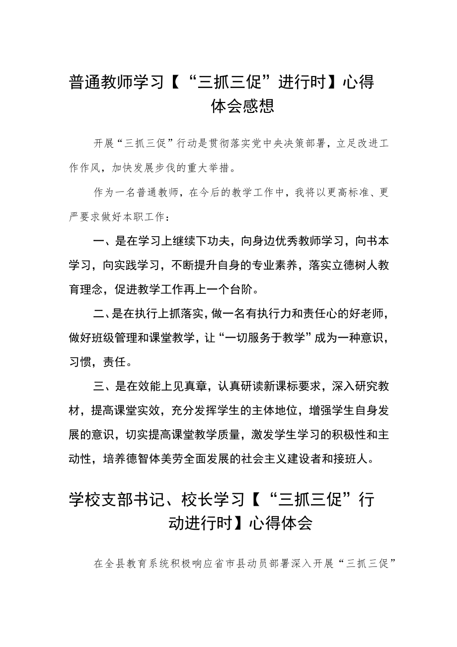 （共三篇）普通教师学习【“三抓三促”进行时】心得体会感想.docx_第1页