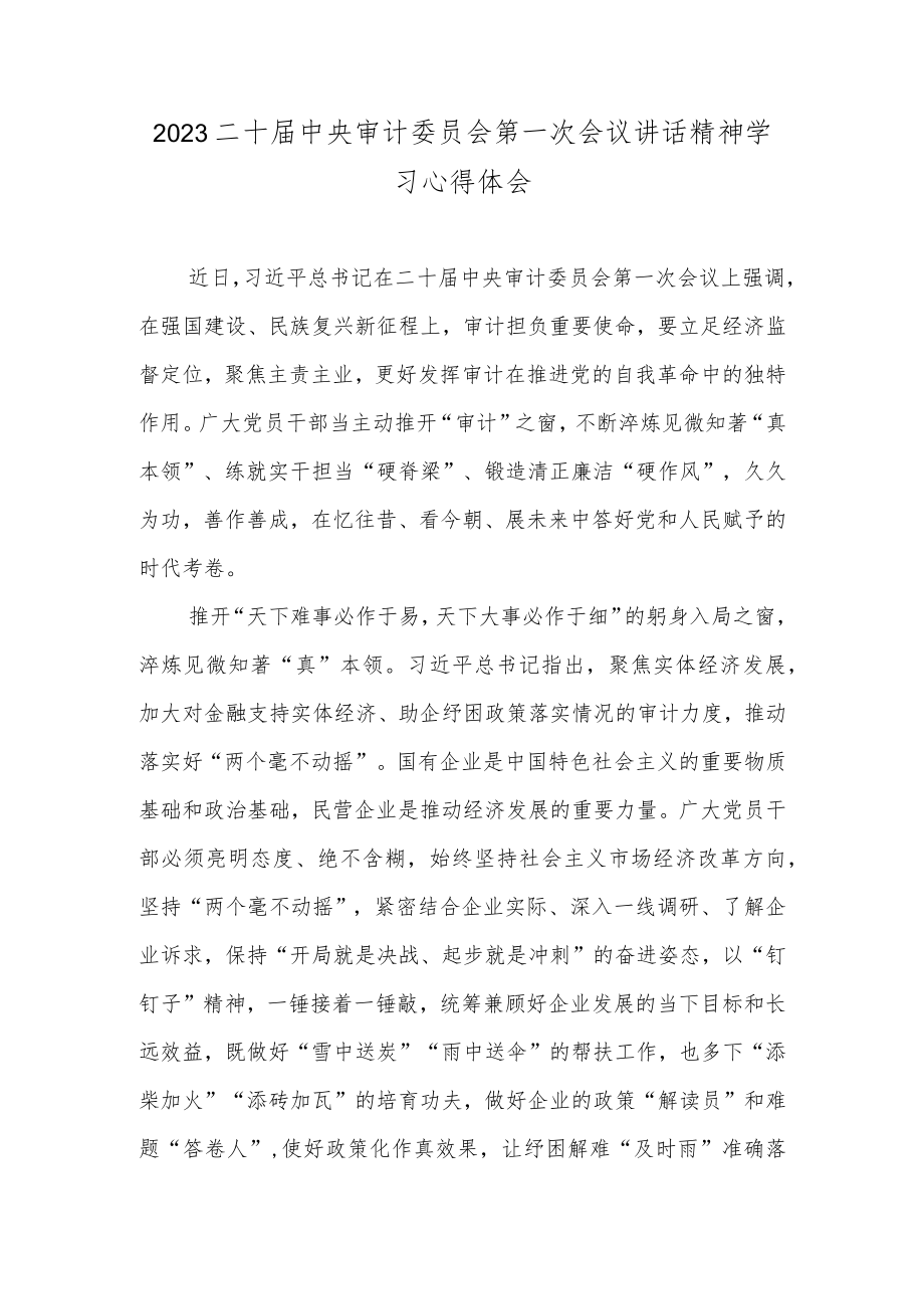 2023二十届中央审计委员会第一次会议讲话精神学习心得体会.docx_第1页