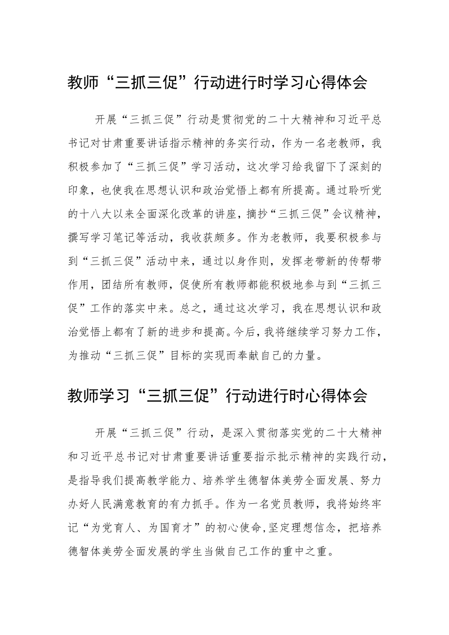 （共三篇）教师“三抓三促”行动进行时学习心得体会.docx_第1页