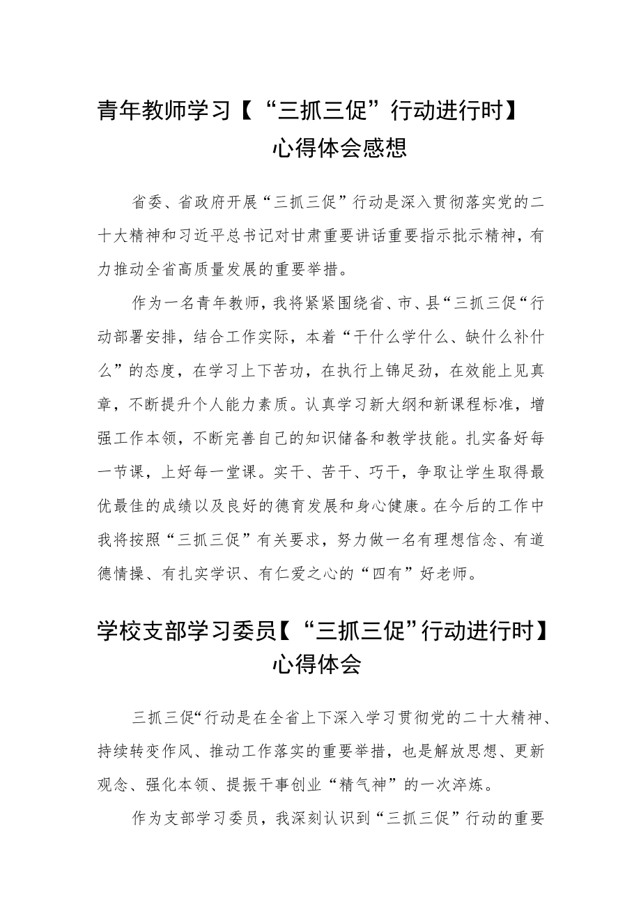 （共三篇）青年教师学习【“三抓三促”行动进行时】心得体会感想.docx_第1页