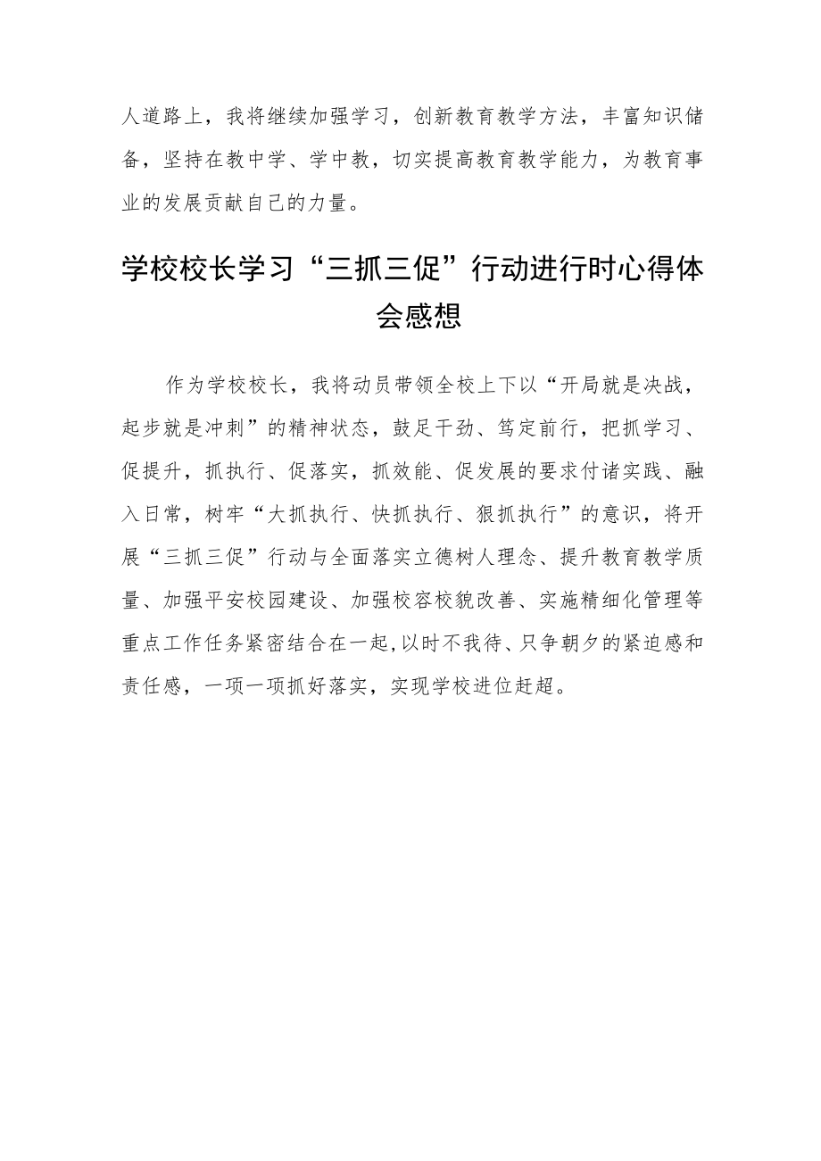 （共三篇）学校教师【“三抓三促”行动进行时】心得体会.docx_第3页