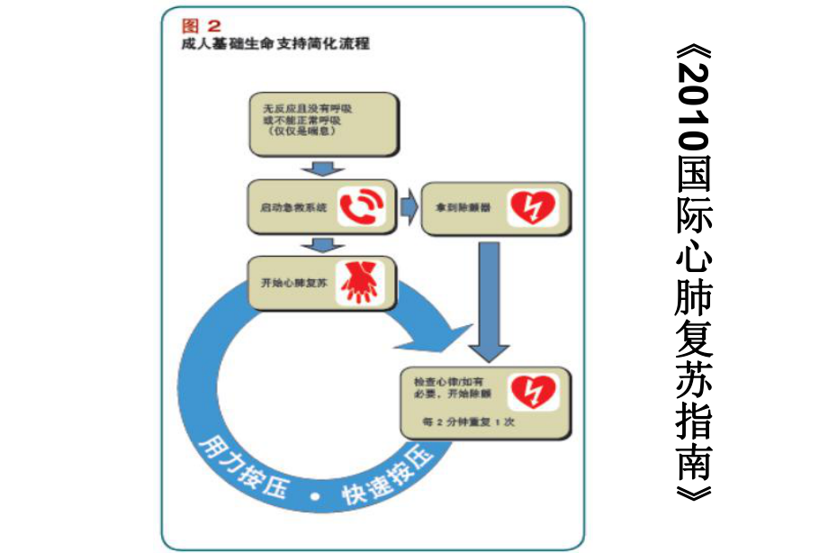 AED使用指南PPT课件.ppt_第3页