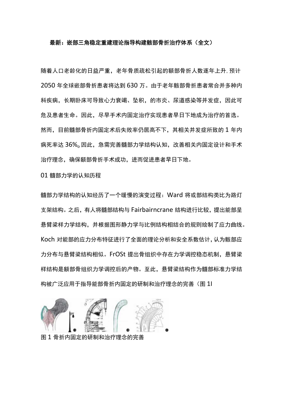 最新：髋部三角稳定重建理论指导构建髋部骨折治疗体系（全文）.docx_第1页