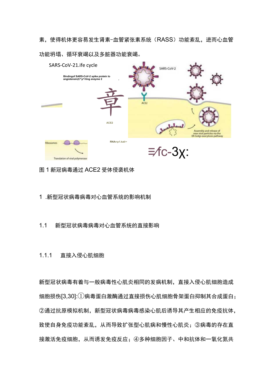 2023新冠病毒合并相关性心血管病（全文）.docx_第2页