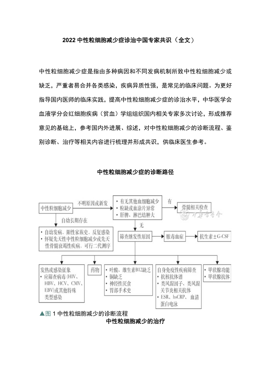 2022中性粒细胞减少症诊治中国专家共识（全文）.docx_第1页