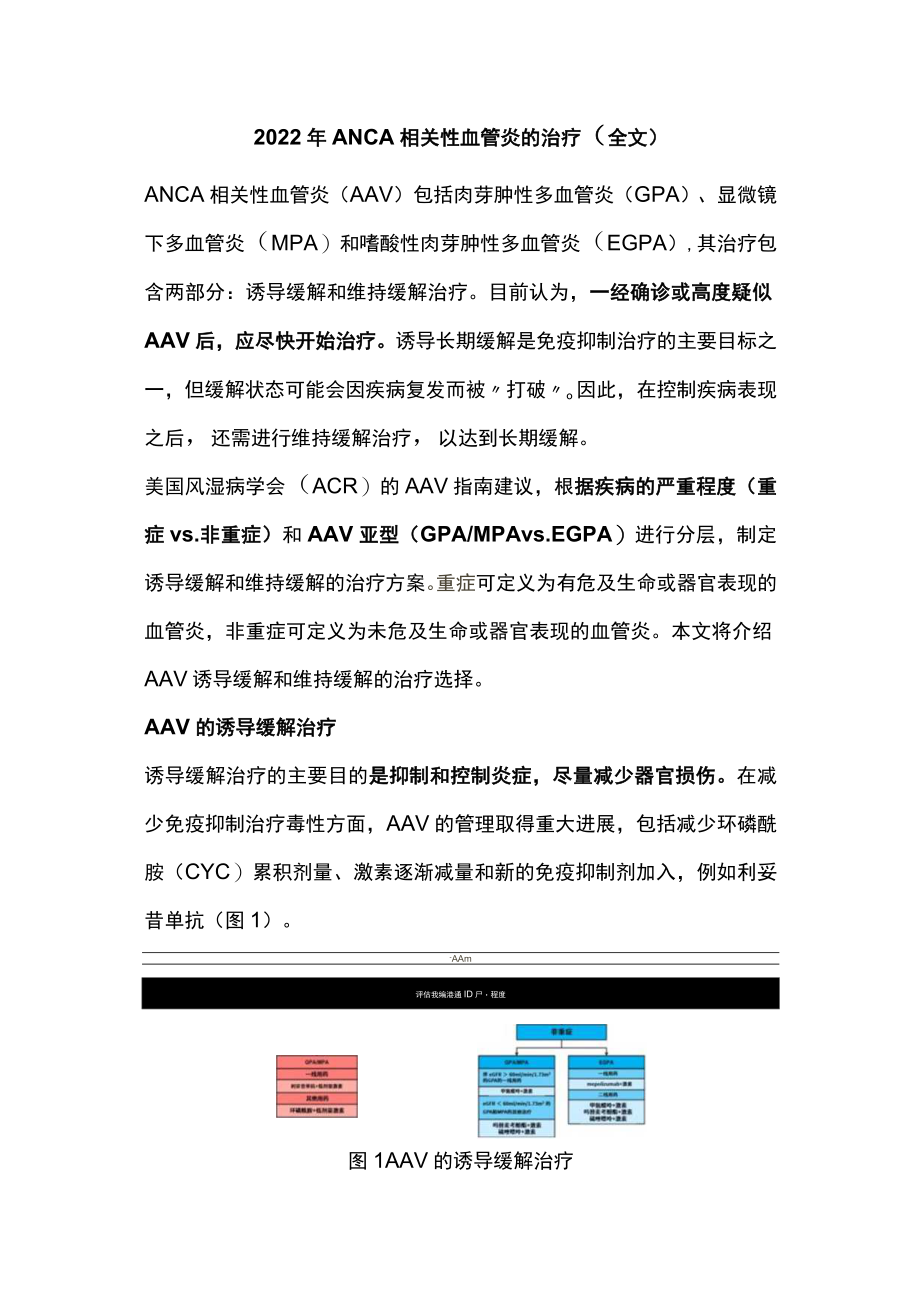 2022年ANCA相关性血管炎的治疗（全文）.docx_第1页