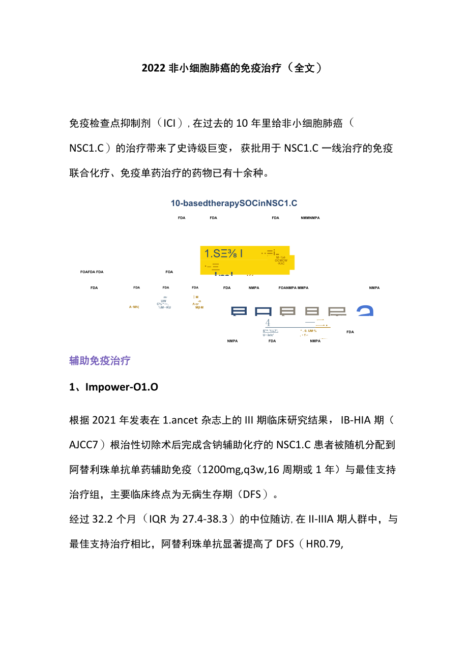 2022非小细胞肺癌的免疫治疗（全文）.docx_第1页