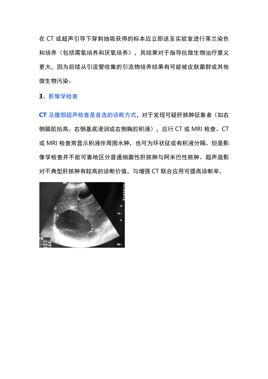 2022细菌性肝脓肿的诊治（全文）.docx_第3页