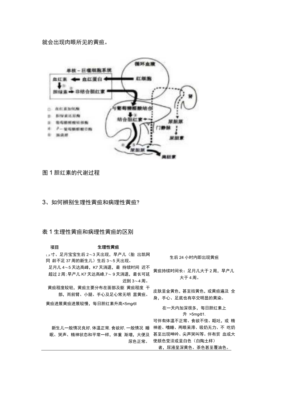 2022新生儿黄疸知识（全文）.docx_第2页