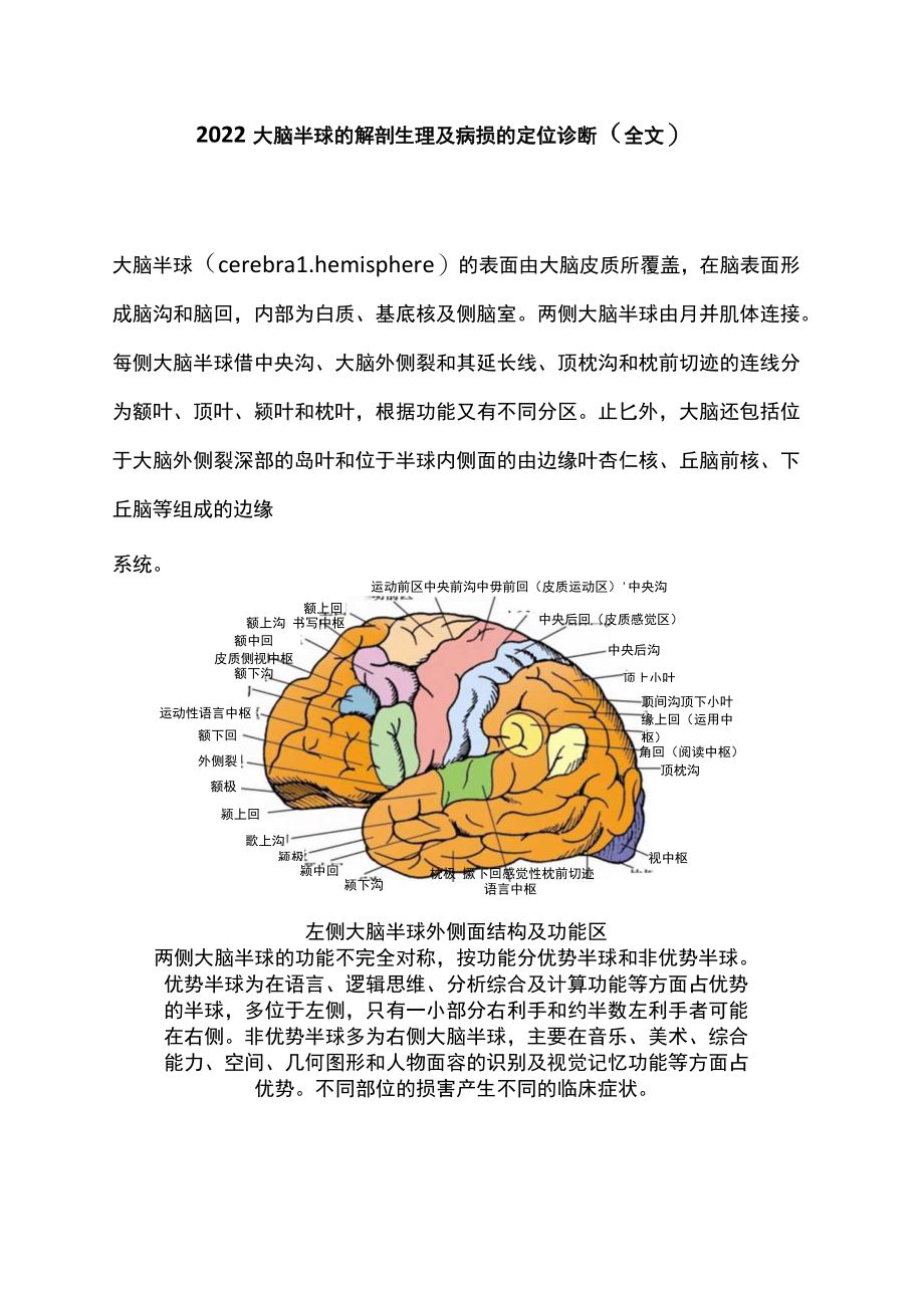 2022大脑半球的解剖生理及病损的定位诊断（全文）.docx_第1页