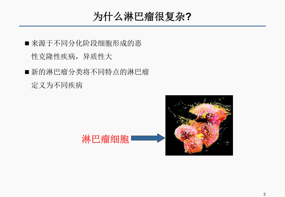 淋巴瘤分子诊断临床应用.pptx_第2页