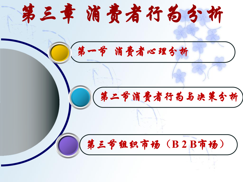 消费者行为分析报告.pptx_第1页