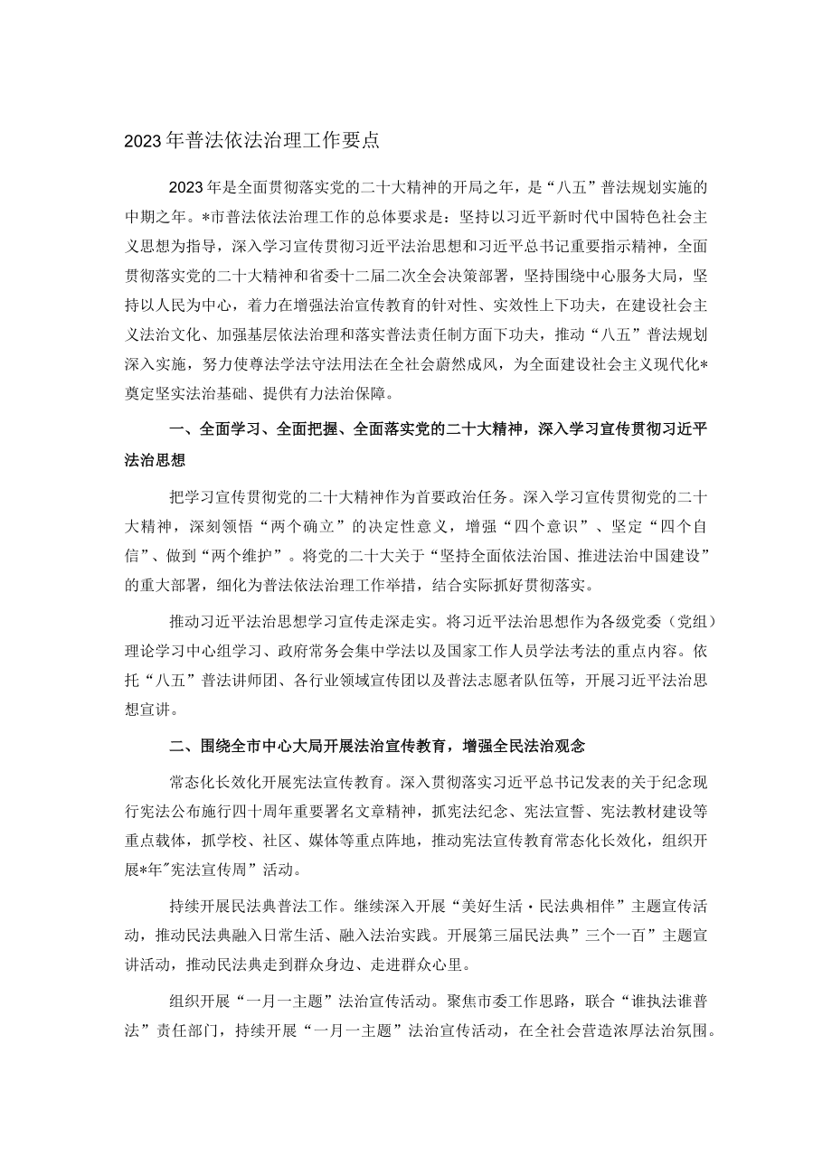 2023年普法依法治理工作要点.docx_第1页