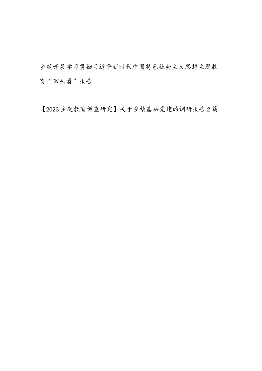 乡镇开展学习贯彻“学思想、强党性、重实践、建新功主题教育“回头看”报告和关于乡镇基层党建的调研报告2篇.docx_第1页