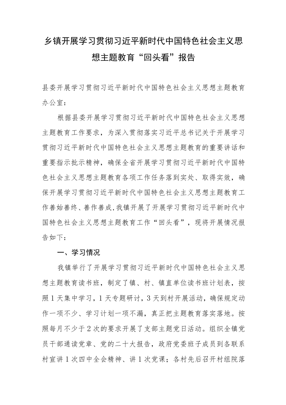 乡镇开展学习贯彻“学思想、强党性、重实践、建新功主题教育“回头看”报告和关于乡镇基层党建的调研报告2篇.docx_第2页