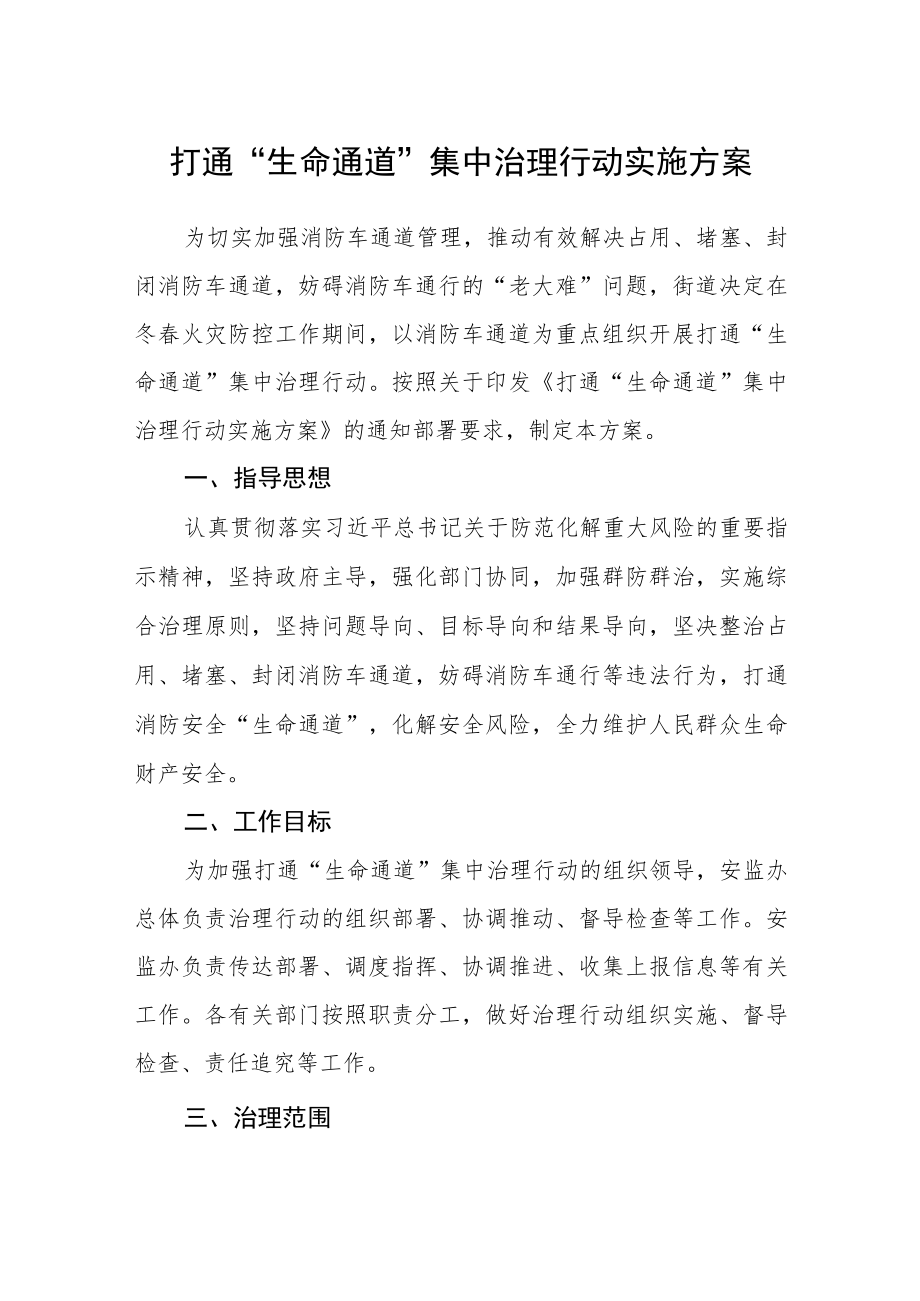 打通“生命通道”集中治理行动实施方案.docx_第1页