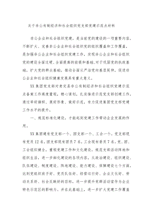 关于非公有制经济和社会组织党支部党建示范点材料.docx