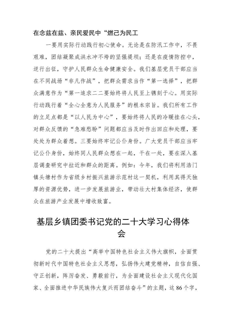 乡镇党委书记学习党的二十大精神心得体会（3篇）.docx_第3页