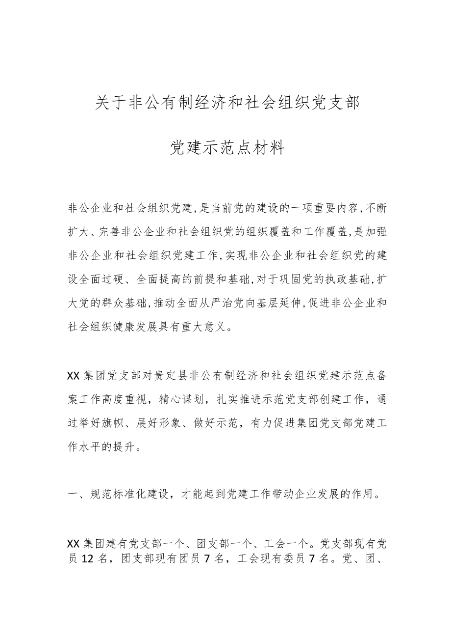 关于非公有制经济和社会组织党支部党建示范点材料.docx_第1页