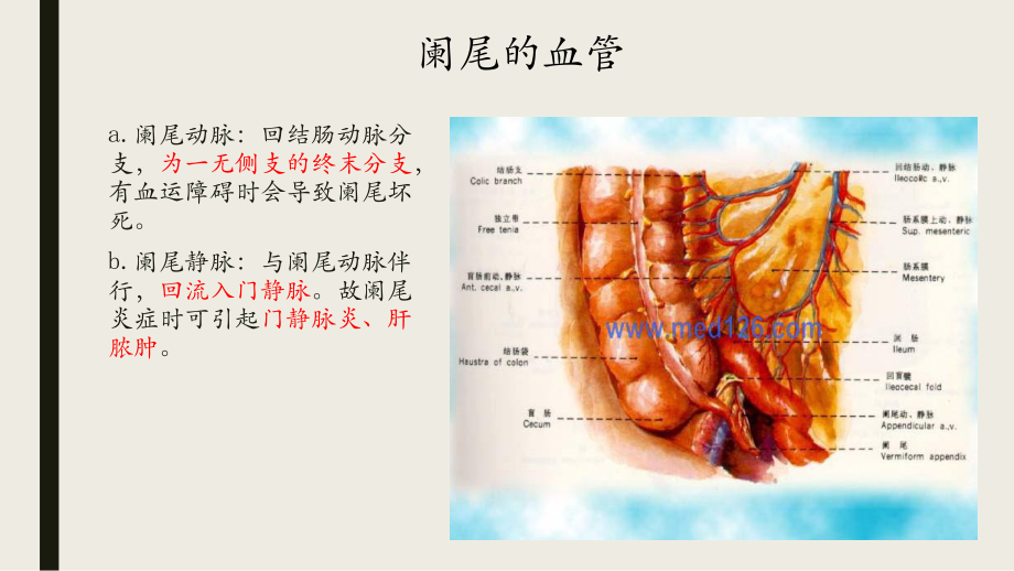 阑尾疾病影像学表现.pptx_第3页