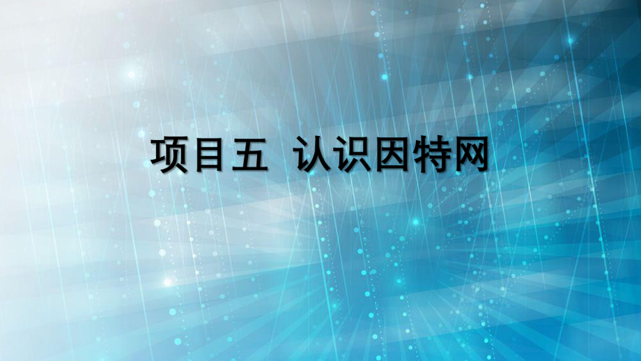 计算机网络技术认识因特网.pptx_第2页