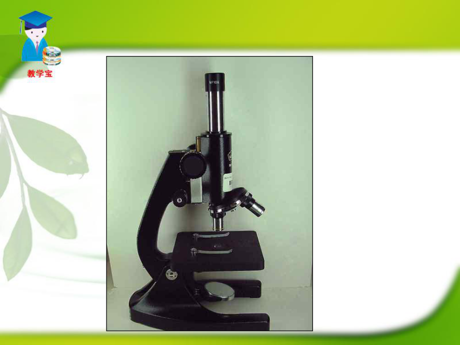 第一节练习使用显微镜精品教育.ppt_第2页