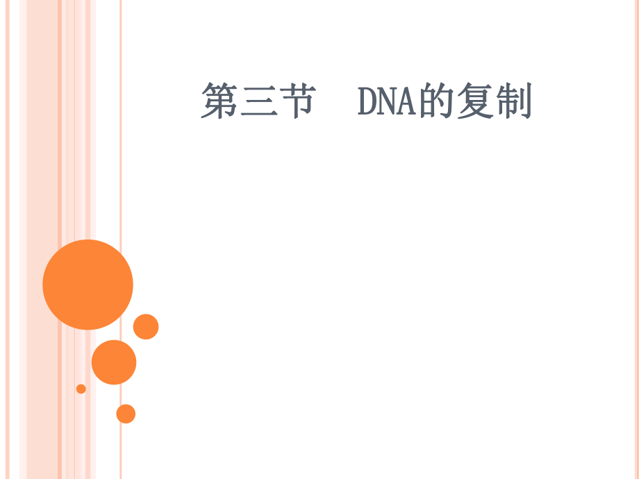 第三节DNA的复制精品教育.ppt_第1页