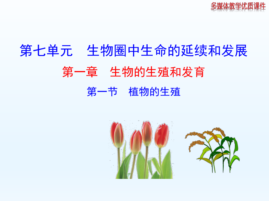 第一节植物的生殖精品教育.ppt_第1页