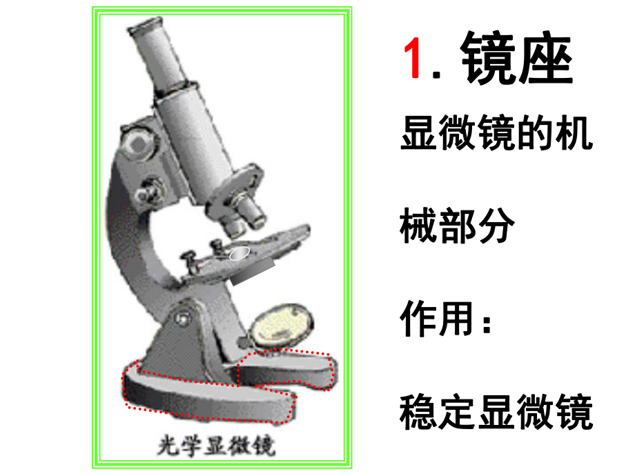 第一节练习使用显微镜 精品教育.ppt_第3页