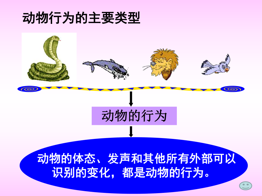 第一节动物行为的主要类型课件精品教育.ppt_第2页