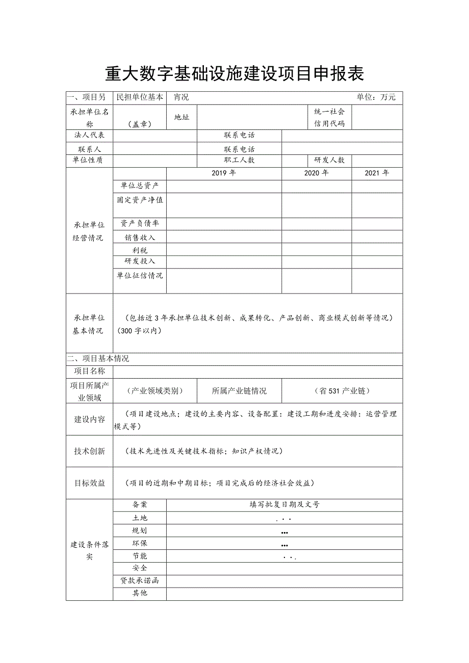 重大数字基础设施建设项目申报表.docx_第1页